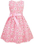 Princess Infant Kids Dresses For Girls Children Dresses Girlse372 3 Yearssize 100