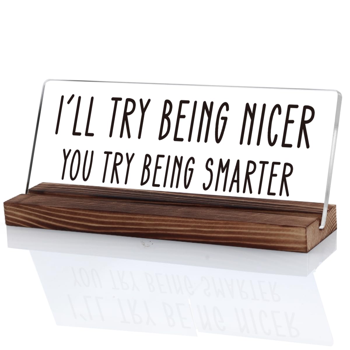 OCCdesign Funny Office Desk Sign Gifts For Coworkers Work Humor Office Decor Accessories Ill Try Being Nicer You Try Being Smarter Sign Plaque Decor for Office