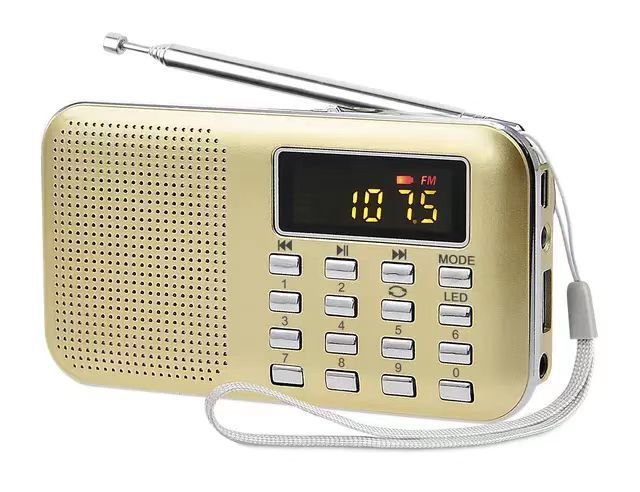 L-218 Mini MP3 Player with FM Radio and Speaker